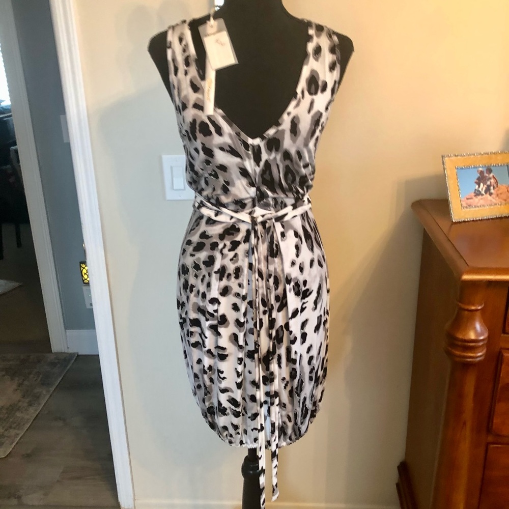 Animal Print Dress